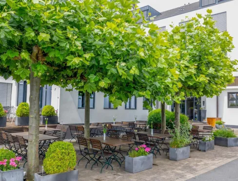 Repeat Hotel Wahnheide