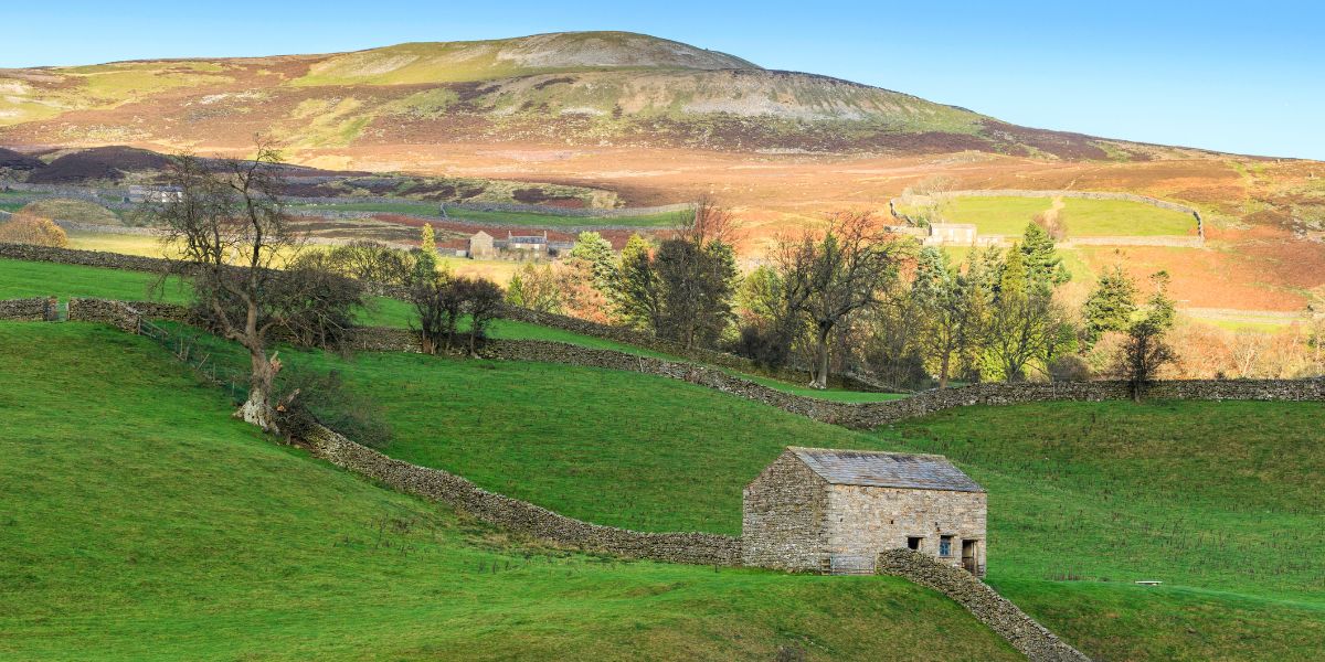 Yorkshire Day Caledonian Travel
