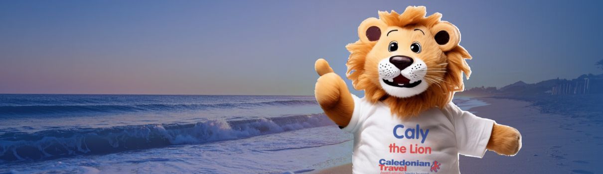 Top Tips for Summer 2026